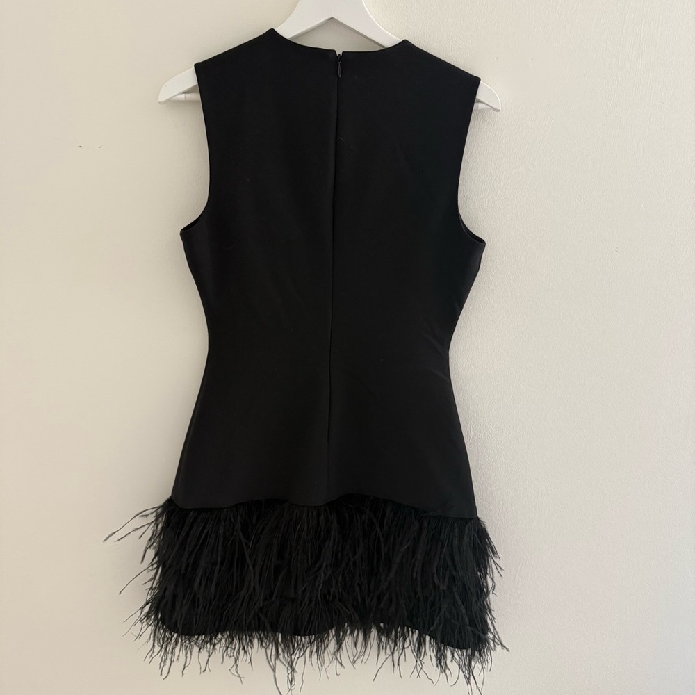 Elizabeth and James Size 6 Black Sleeveless Feather-Hem Mini Dress - Picture 5 of 7